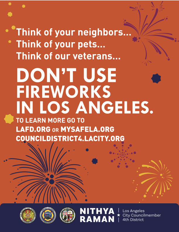 FireworksFlyer_English_out